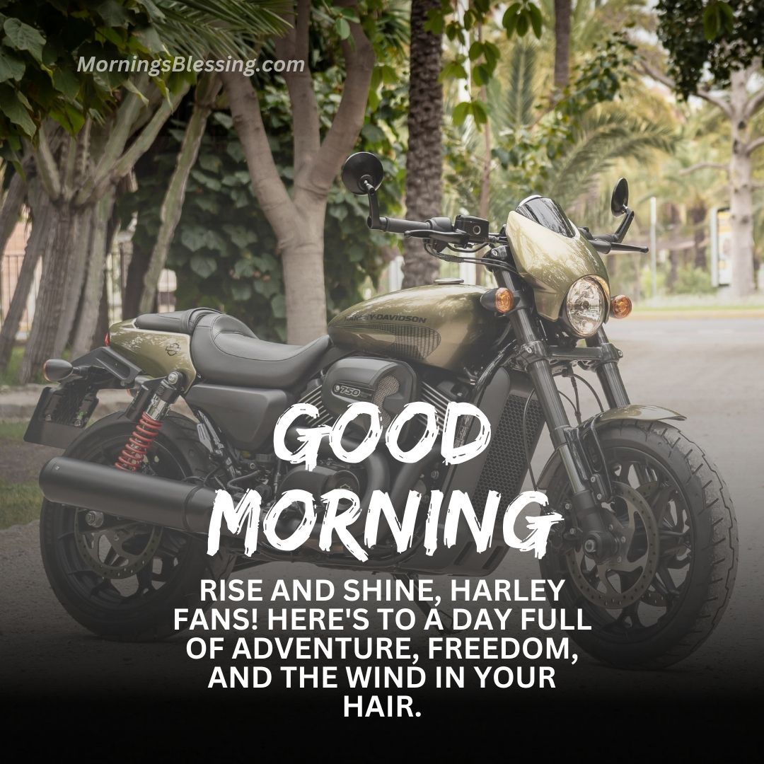 43+ Good Morning Harley Davidson Images [for Bikers]