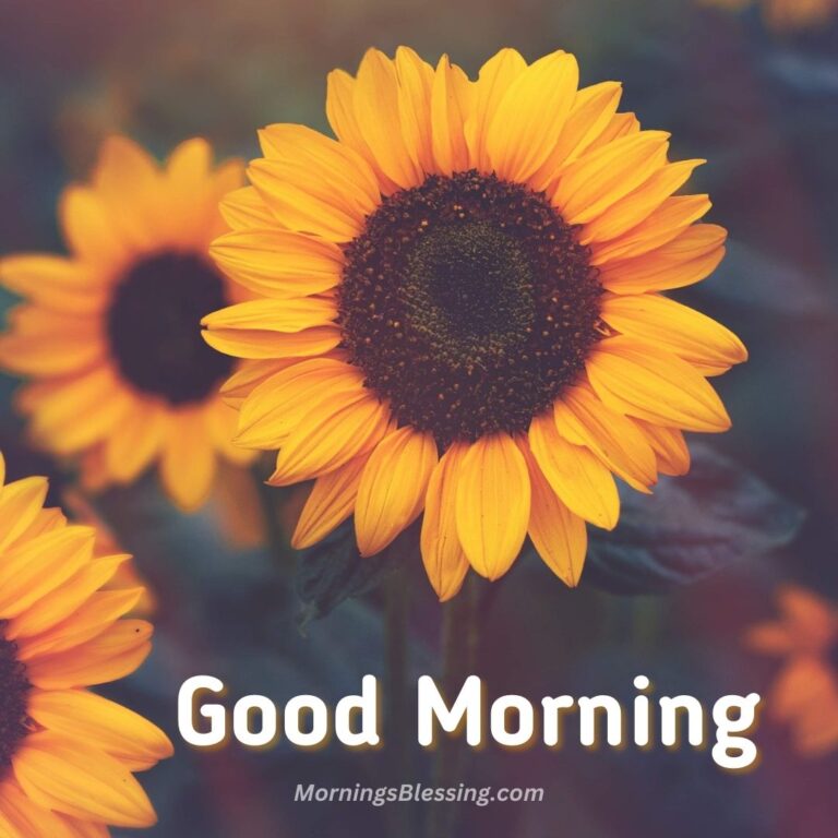 59+ Good Morning Sunflower Images with Quotes [2023]