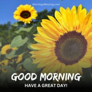 59+ Good Morning Sunflower Images with Quotes [2023]