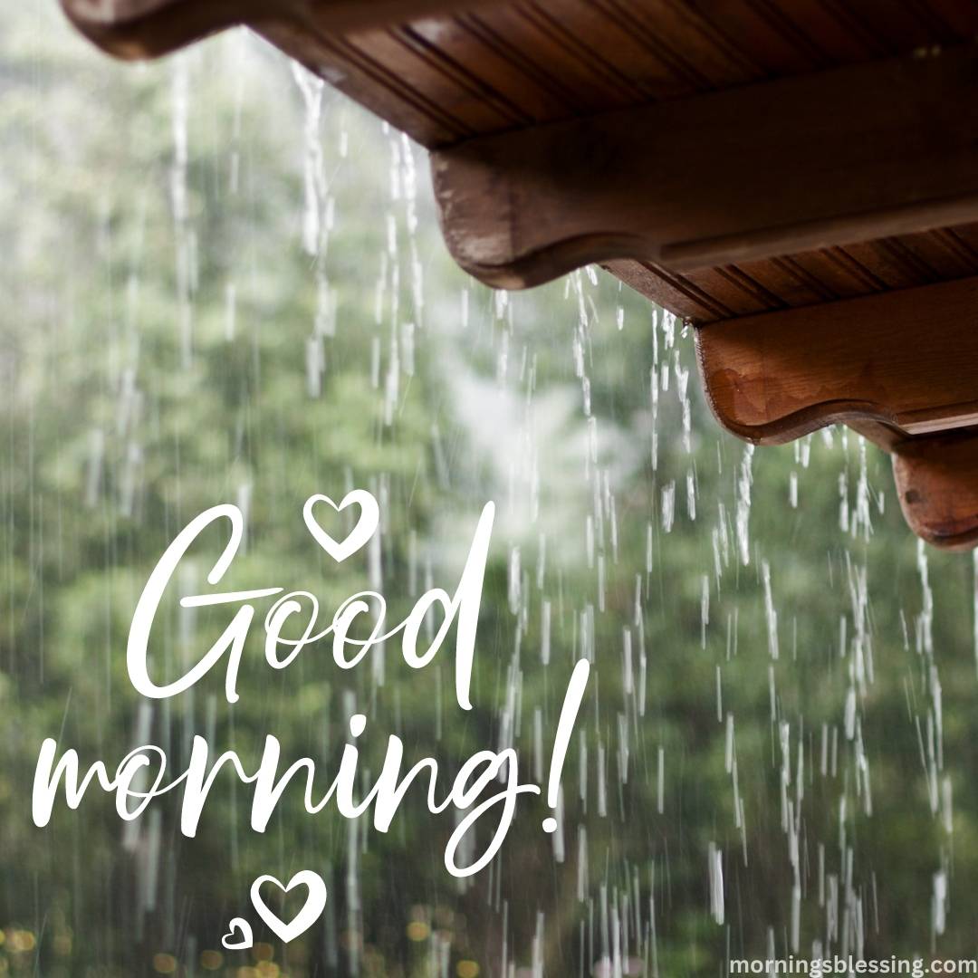 200+ Good Morning Rainy Images HD Photos Download