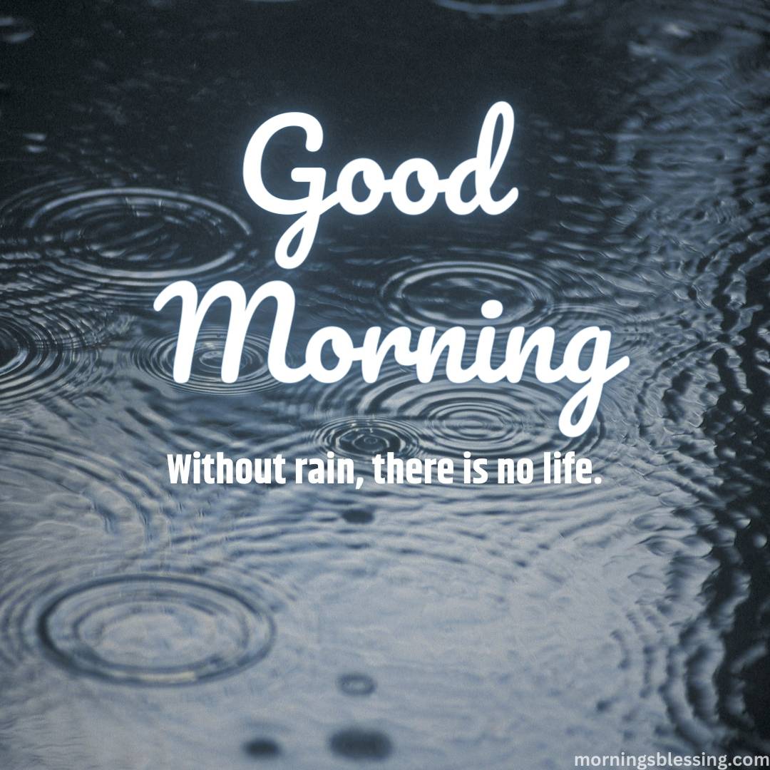 200+ Good Morning Rainy Images HD Photos Download