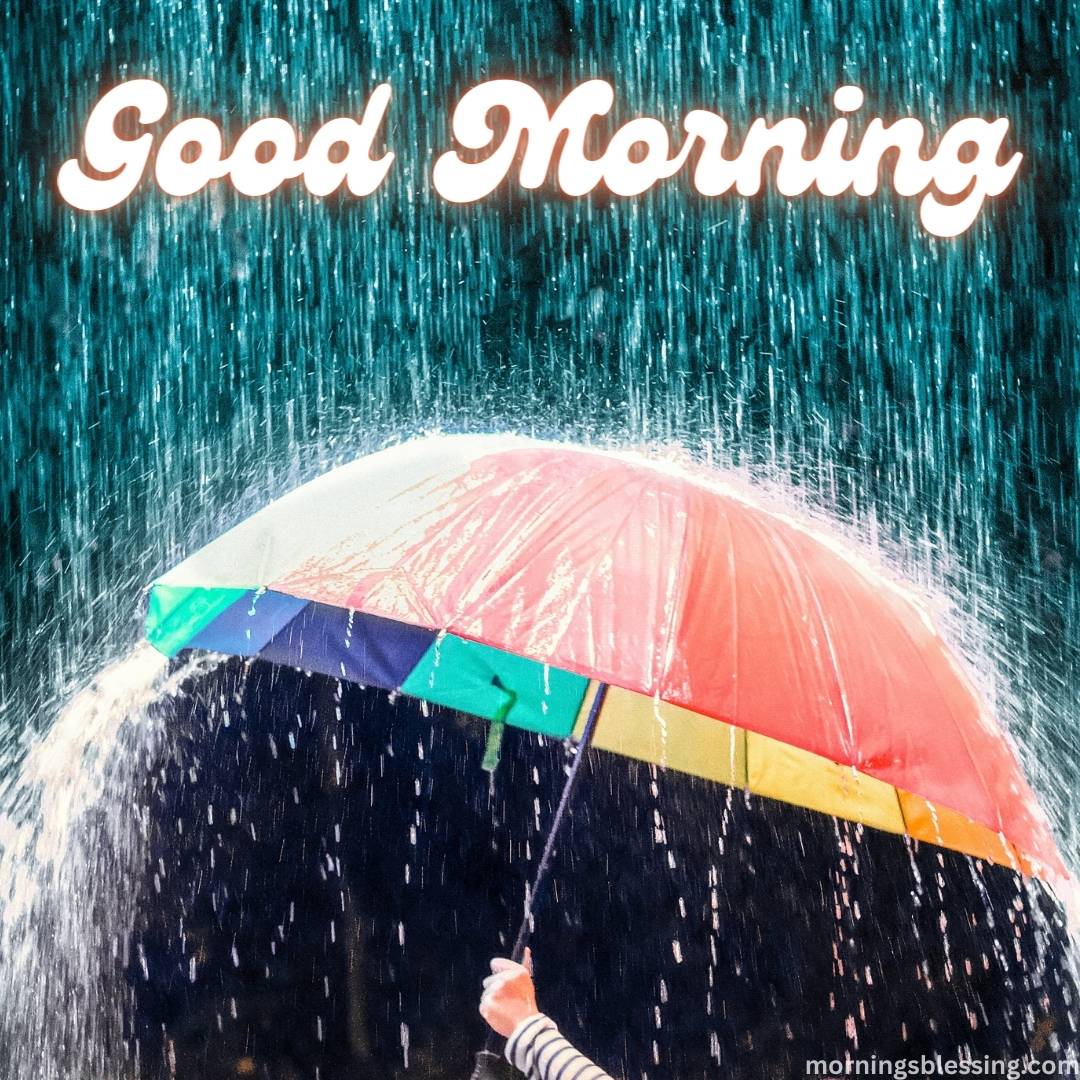 200+ Good Morning Rainy Images HD Photos Download