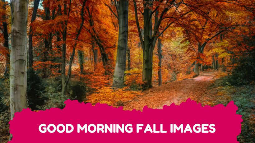 Good Morning Fall Images