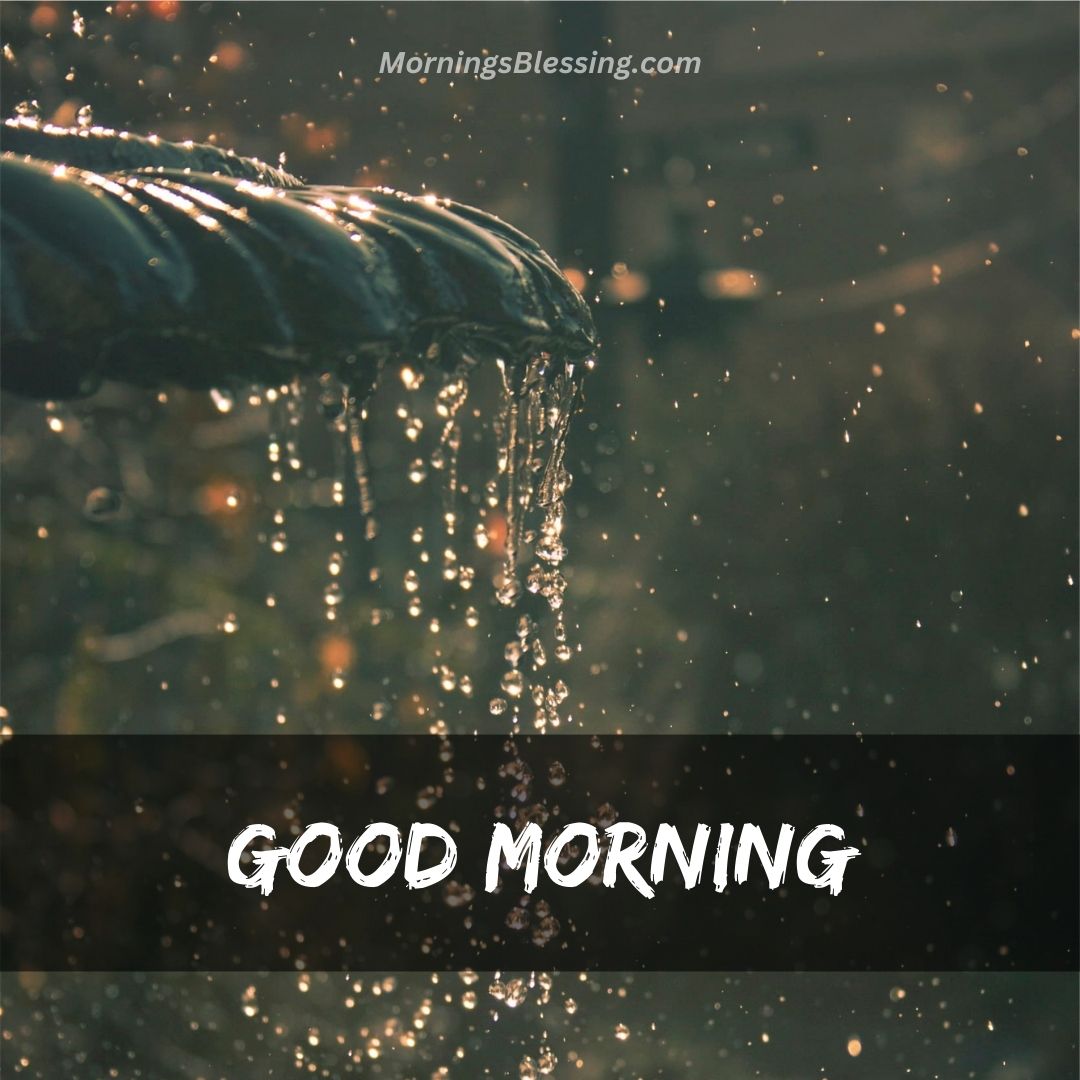 200+ Good Morning Rainy Images Hd Photos Download