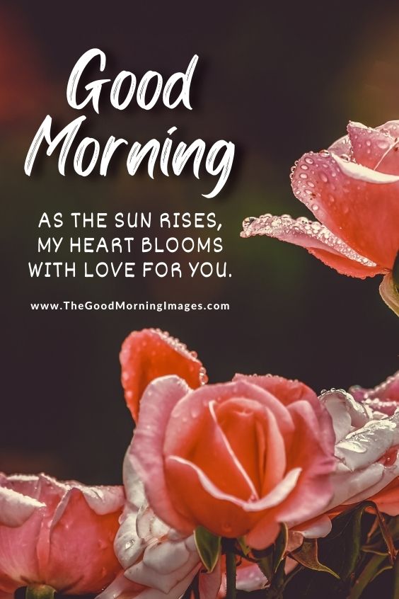 romantic good morning love pics