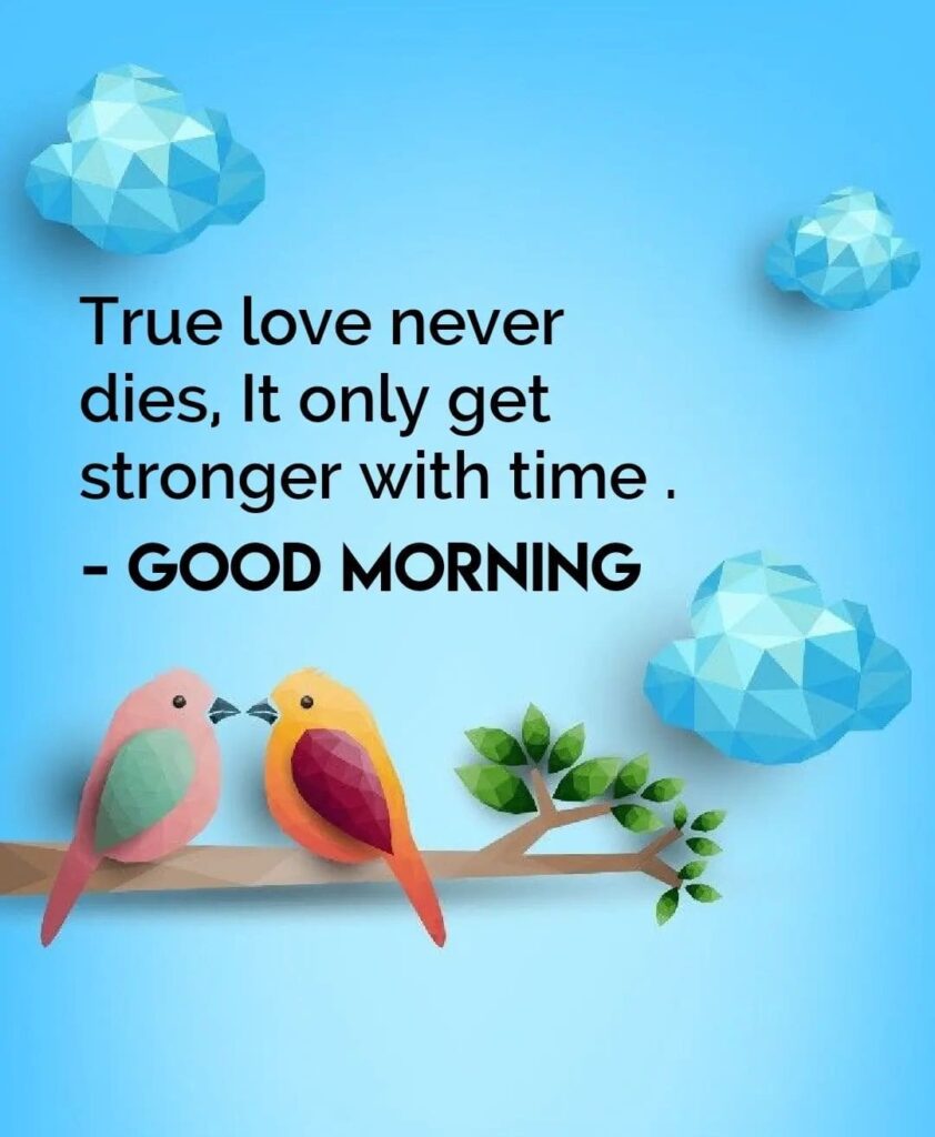 good morning love birds with quote