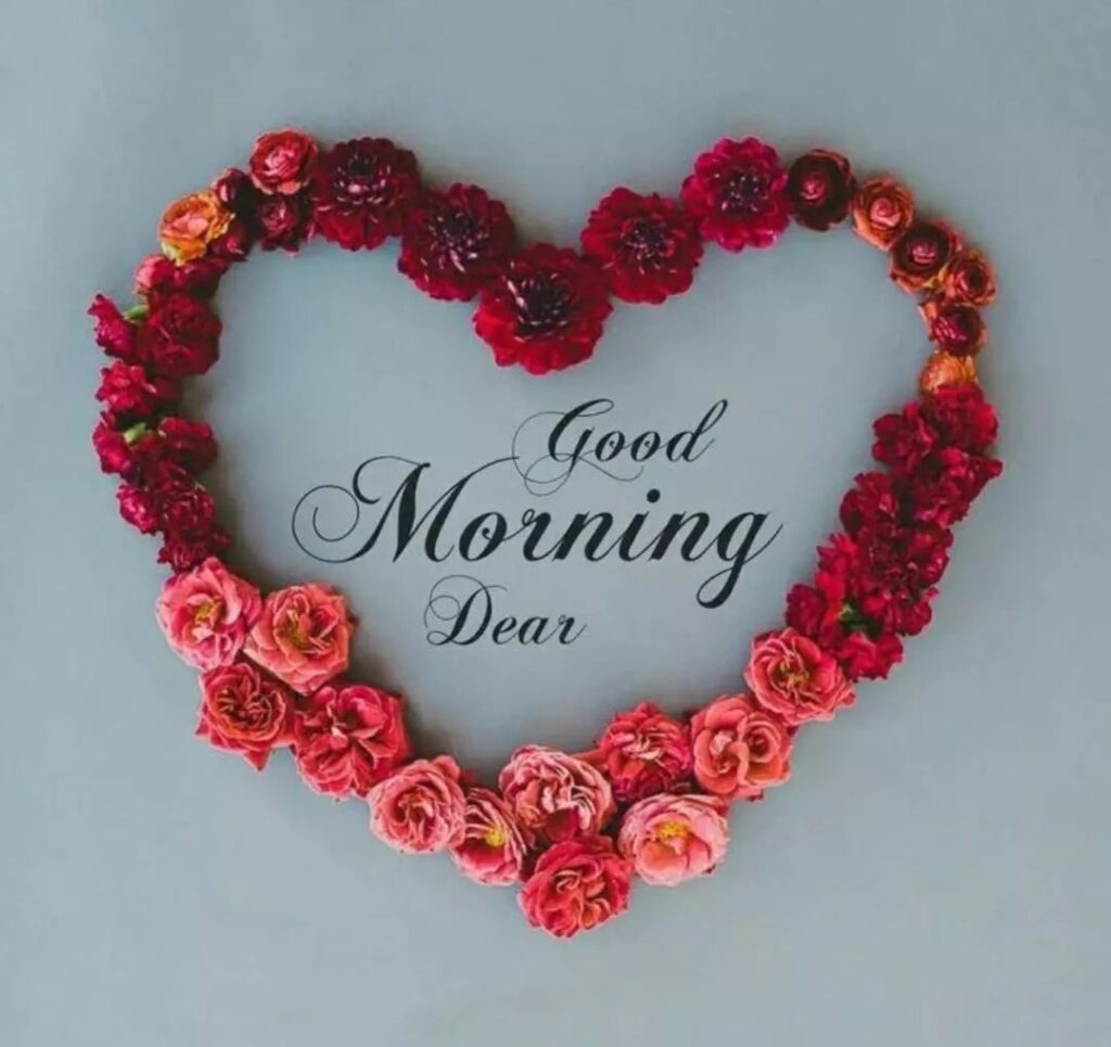 good morning love rose
