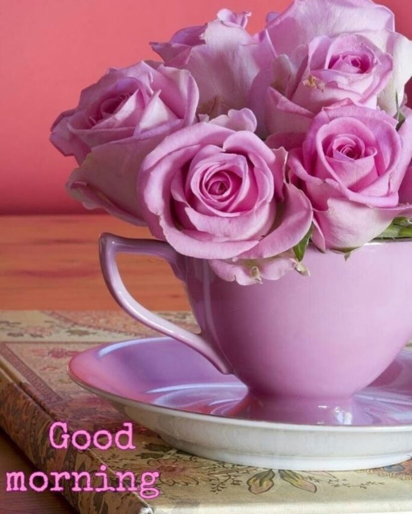 good morning coffee cup and rose images