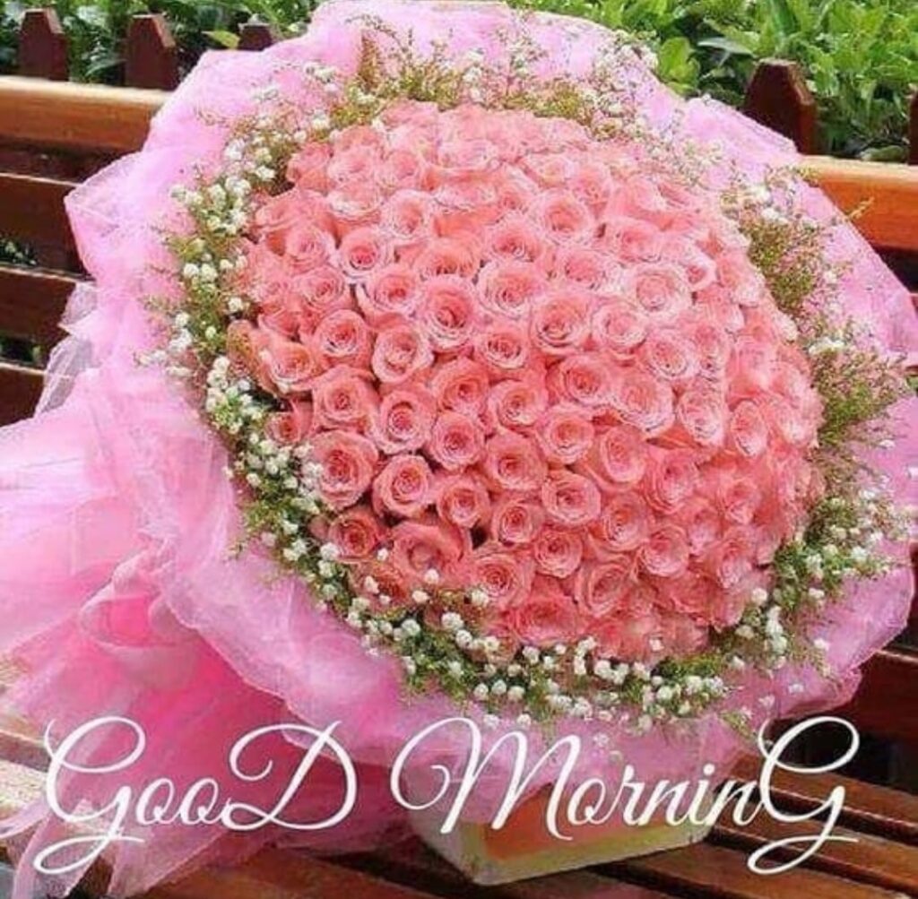 good morning pink rose bundle img