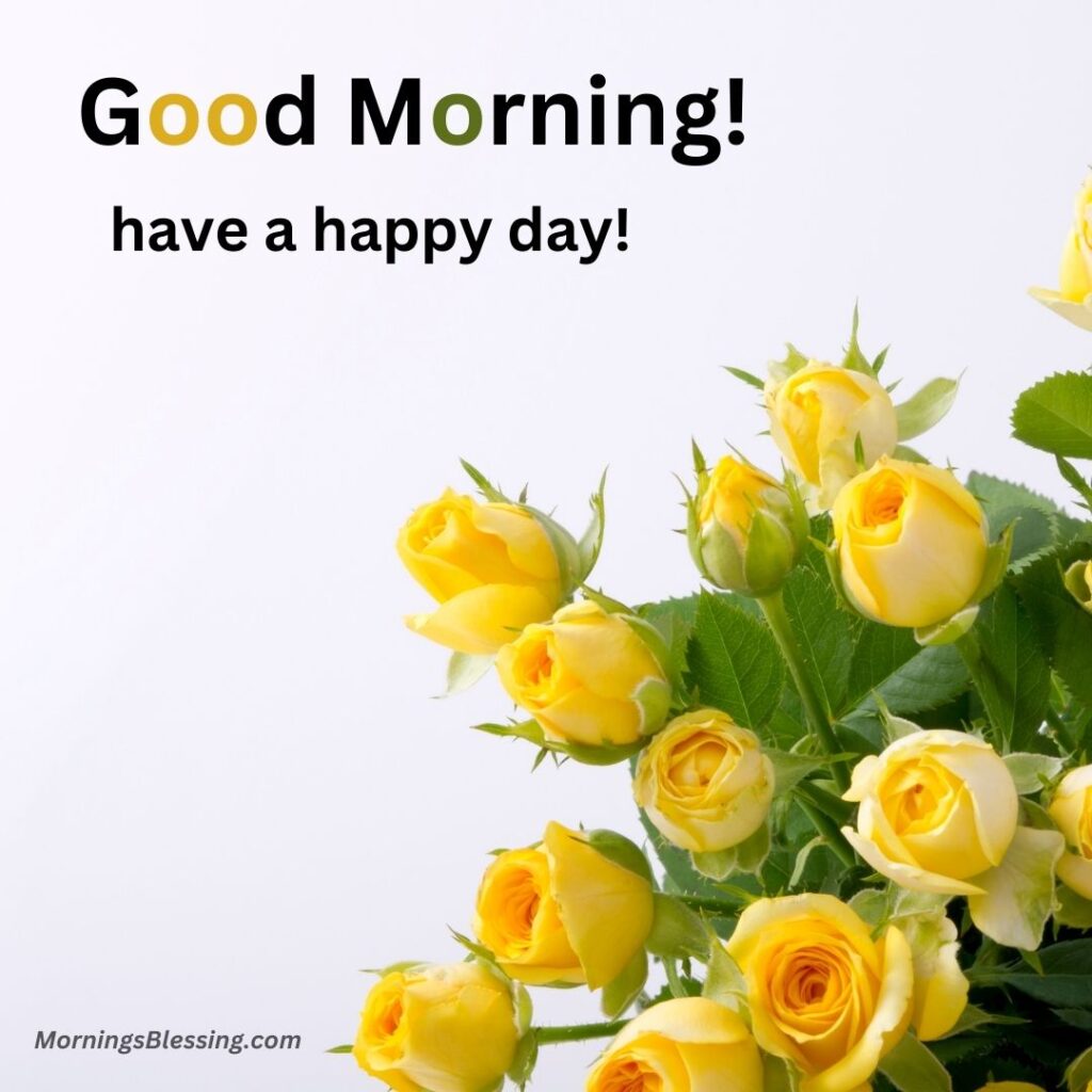 good morning yellow rose photo