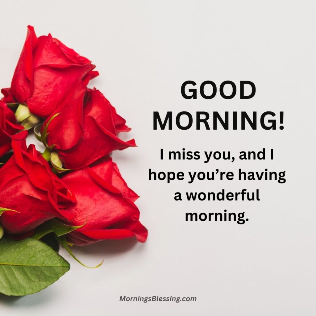 good morning red rose with quotes