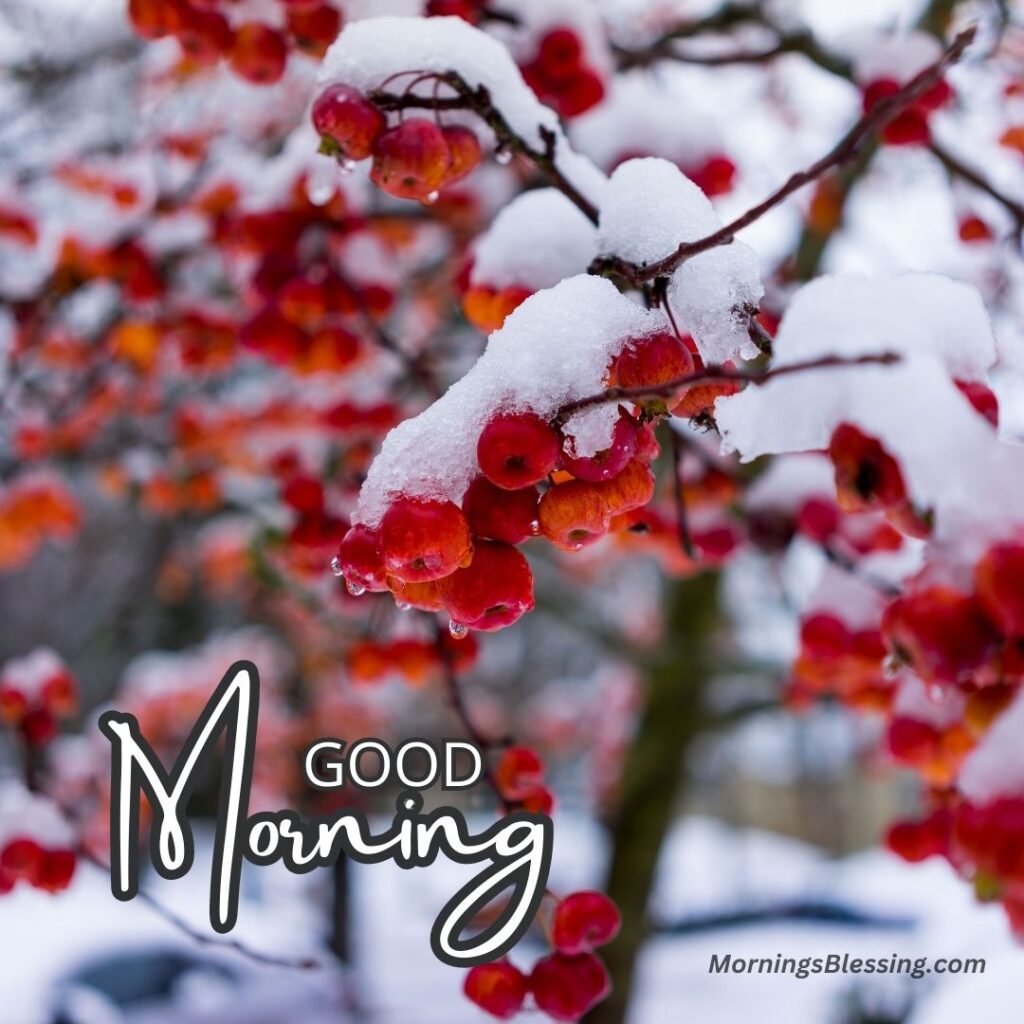 winter good morning image red cherry