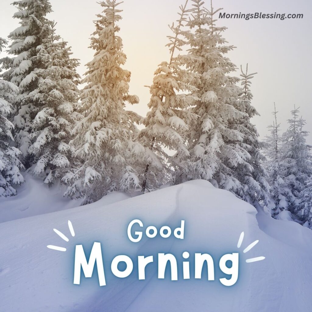 good morning winter pictures