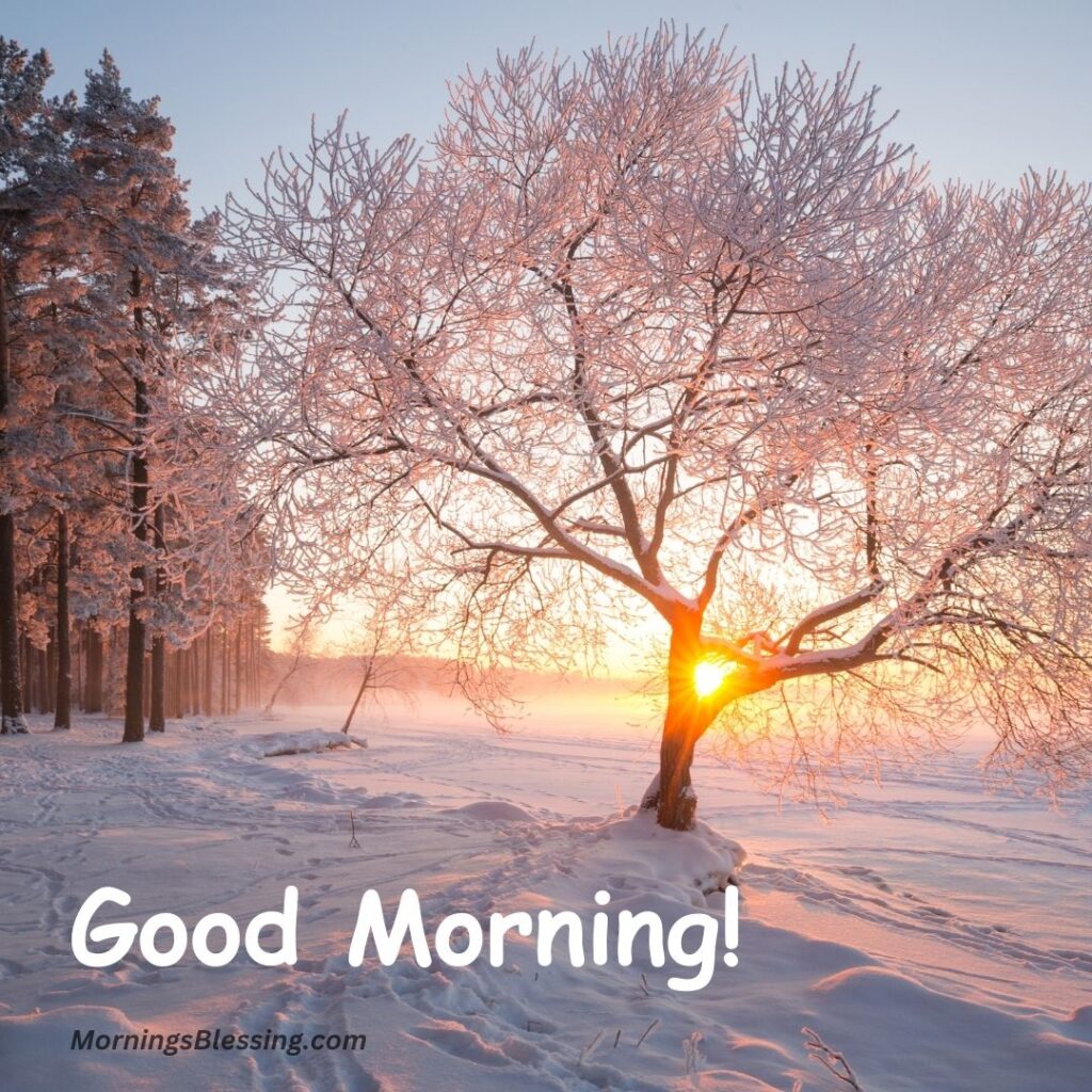 good morning winter pictures