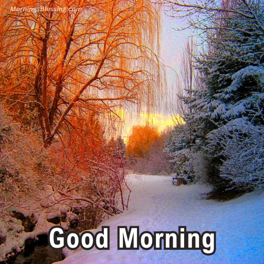good morning winter photos colorful