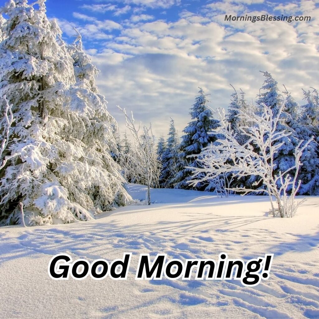 good morning winter image with snow