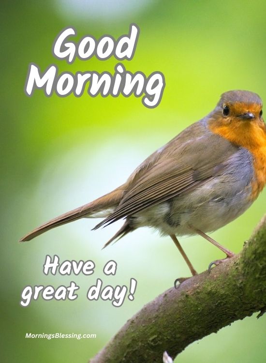 Good Morning cute bird image quotes