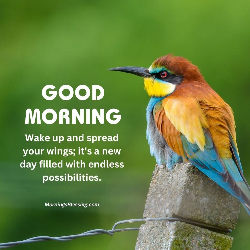 good morning  beautiful bird image with quotes