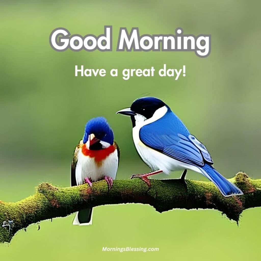 good morning birds images and wishes