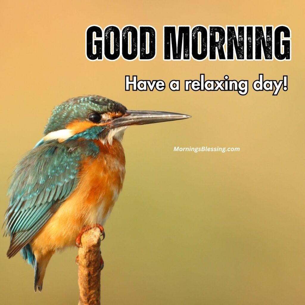 good morning birds image wishes