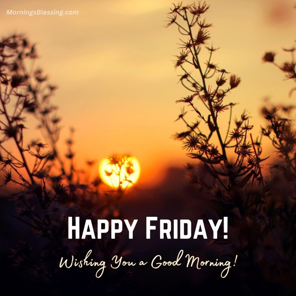 wishing you a good friday good morning