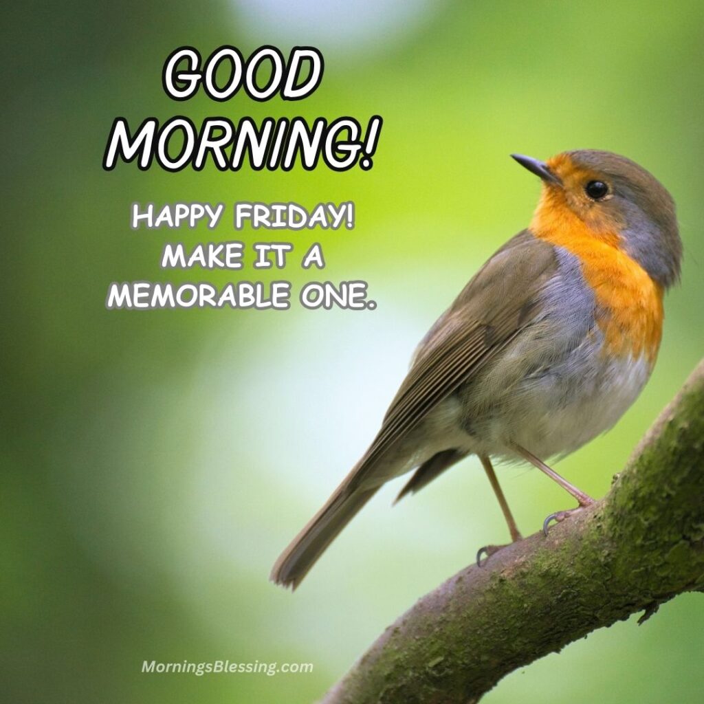good morning friday bird image